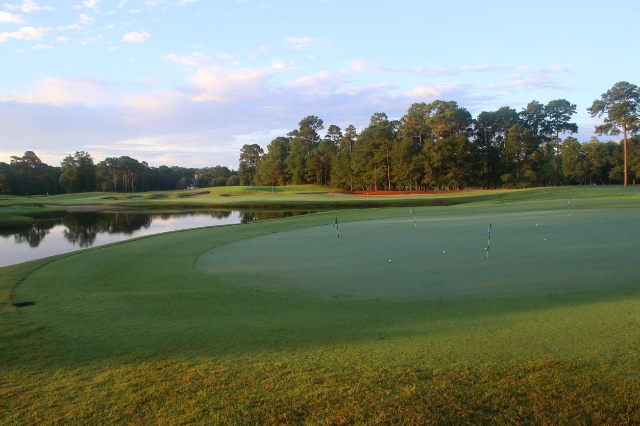 scenic view with green grass lawn covered by morning dew during sunrise at a golf course in myrtle beach